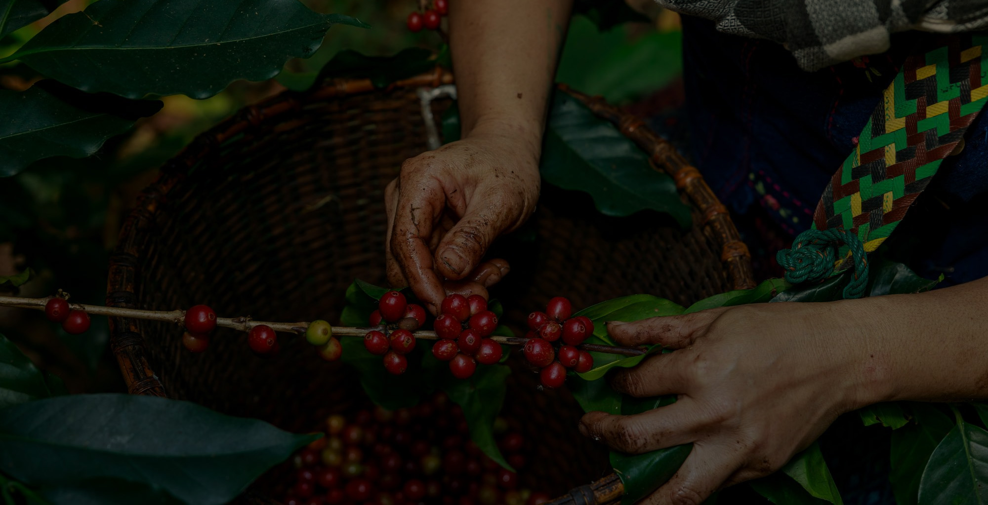 Feel Coof | Health & Life